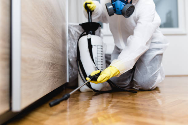 Best Pest Control for Homes  in Skyline, AL