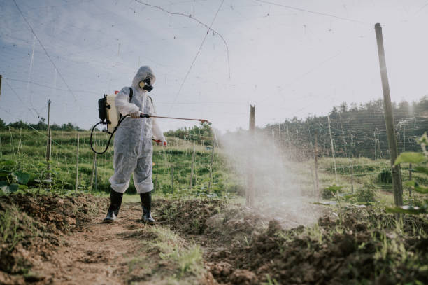 Best Pest Control Treatment  in Skyline, AL