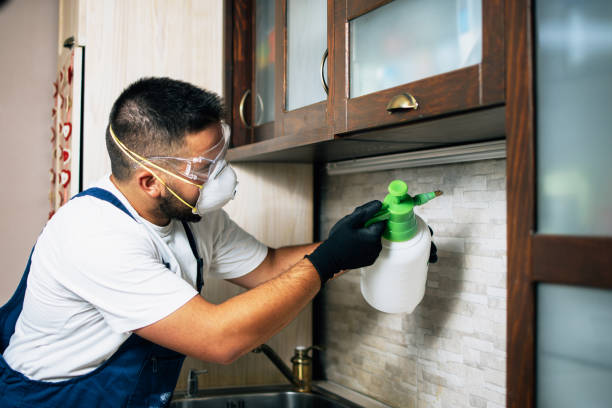 Best Exterminator Services  in Skyline, AL