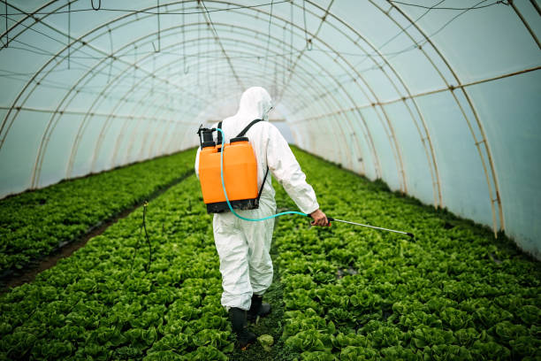 Best Pest Control Near Me  in Skyline, AL