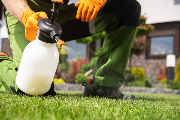 Best Commercial Pest Control Services  in Skyline, AL