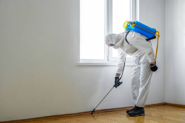 Trusted Skyline, AL Pest Control Experts