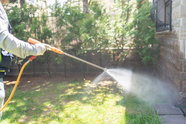 Best Best Pest Control Companies  in Skyline, AL