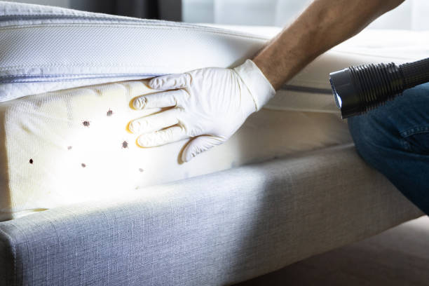 Best Pest Control Near Me in Skyline, AL