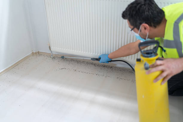 Best Affordable Pest Control Services  in Skyline, AL