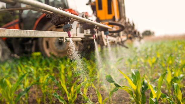 Best Ant Control Services  in Skyline, AL